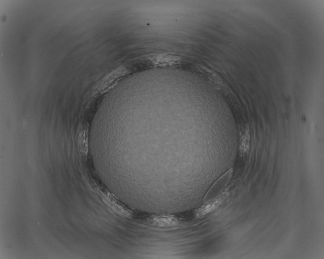 X0000062620666200601111036