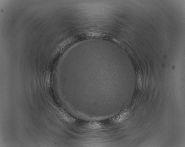 X0000062620668200601111036