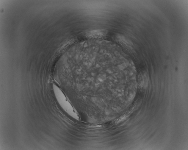 X0000062620669200601111036