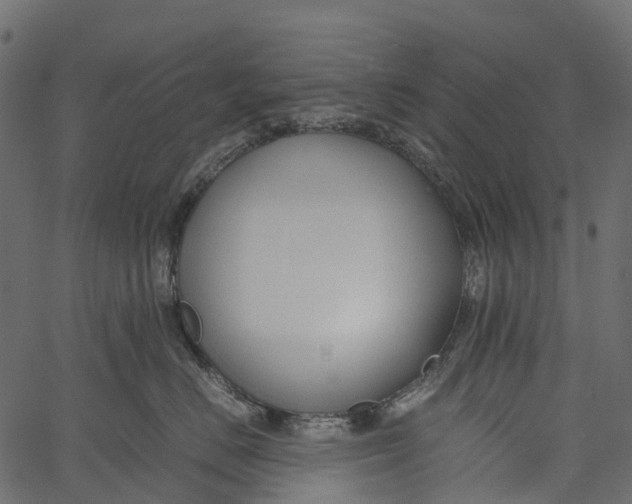 X0000062620670200601111036