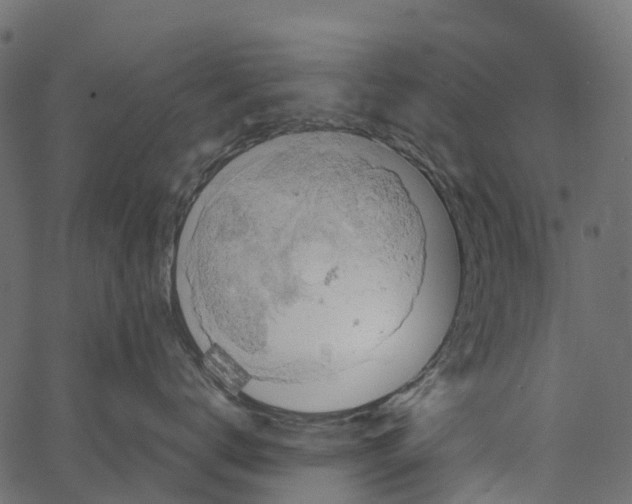 X0000062620672200601111036