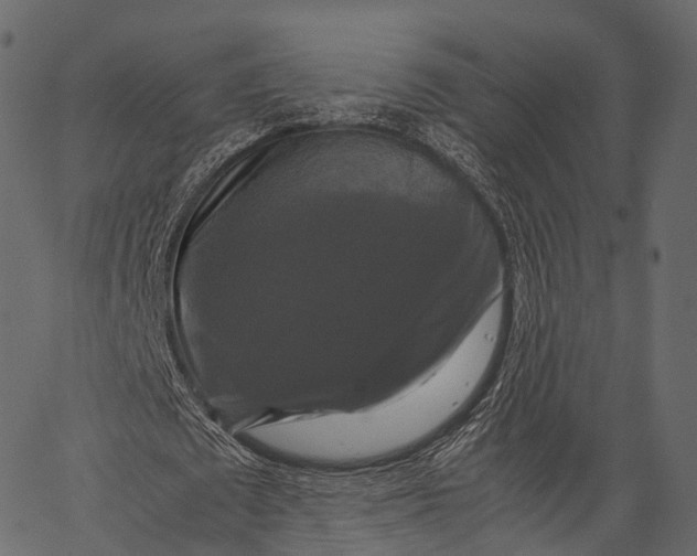 X0000062620673200601111035