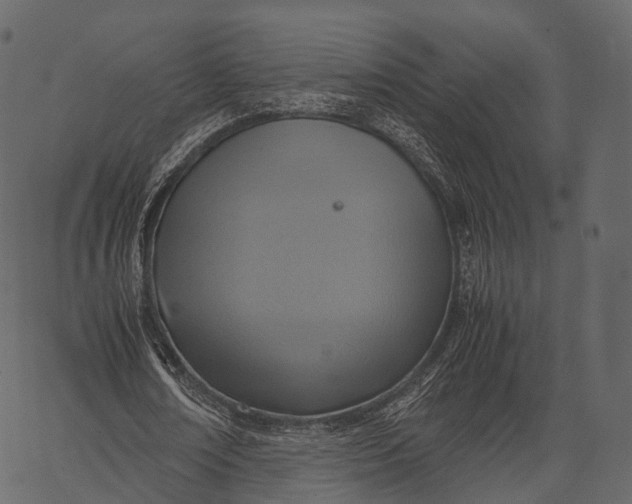 X0000062620674200601111035