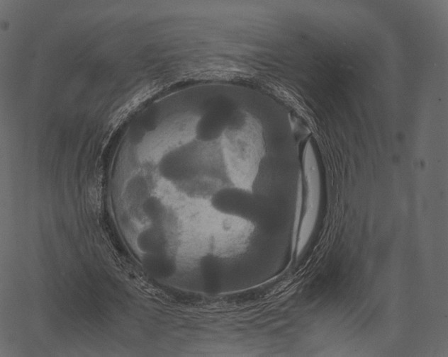 X0000062620675200601111035