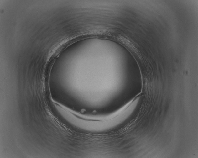 X0000062620676200601111035