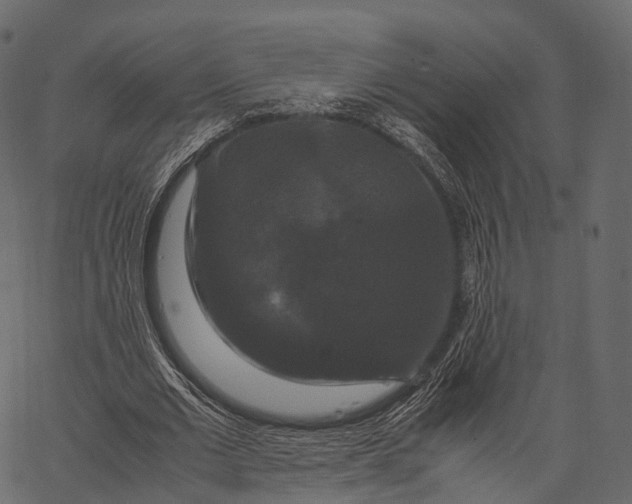 X0000062620677200601111035