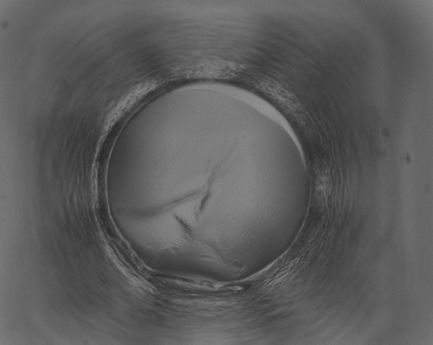 X0000062620678200601111035