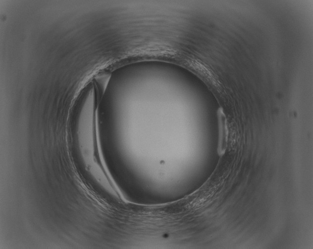 X0000062620680200601111035