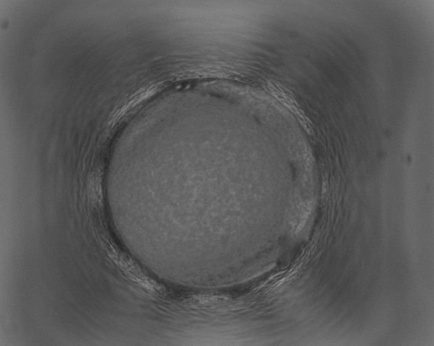 X0000062620681200601111035