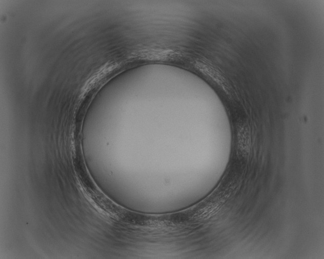 X0000062620682200601111035