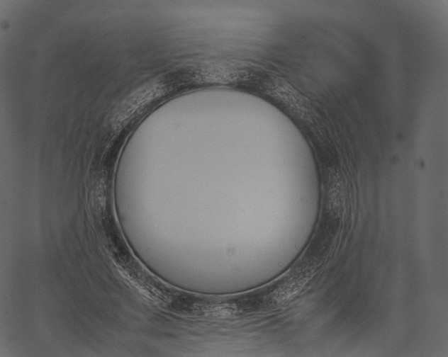 X0000062620683200601111035