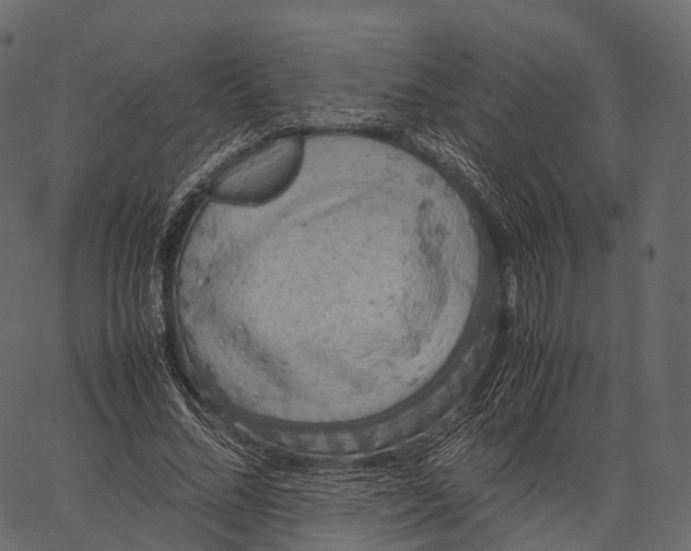 X0000062620684200601111035