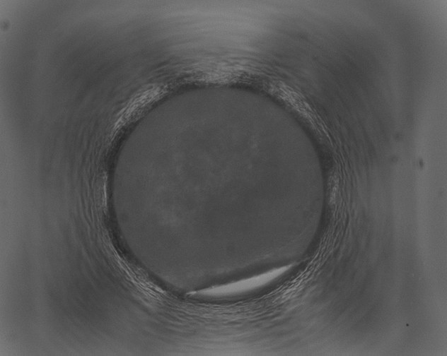 X0000062620685200601111035