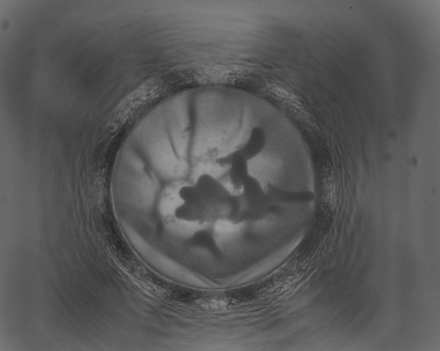 X0000062620687200601111035