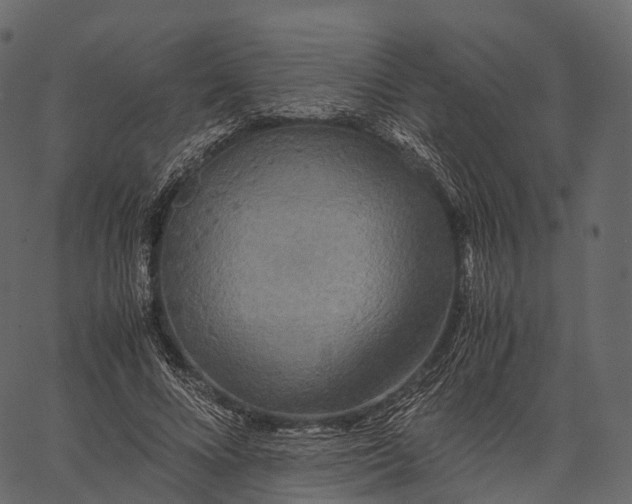 X0000062620688200601111035