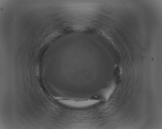 X0000062620689200601111035