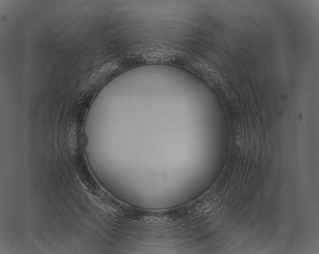 X0000062620690200601111035