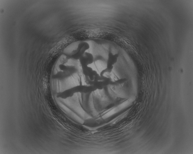 X0000062620691200601111035