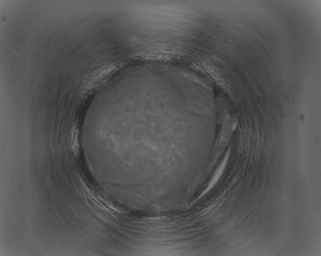 X0000062620692200601111034