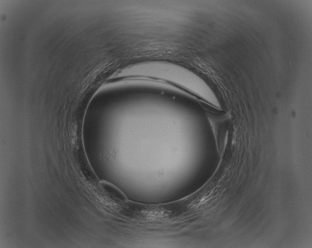 X0000062620693200601111034