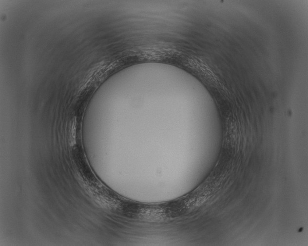 X0000062620694200601111034