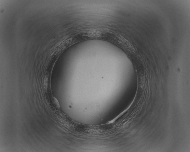 X0000062620697200601111034