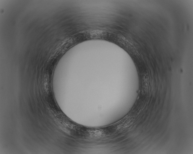 X0000062620698200601111034