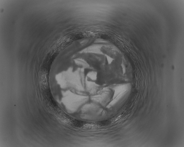 X0000062620699200601111034