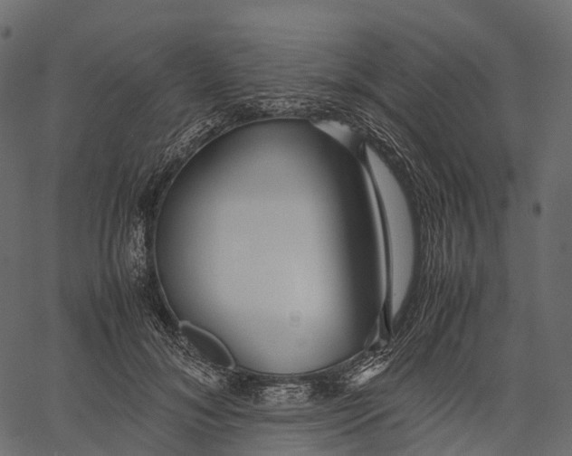 X0000062620700200601111034