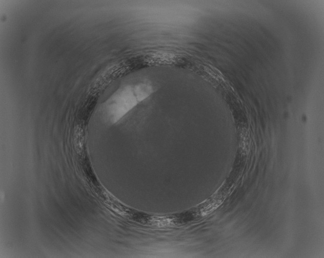 X0000062620701200601111034