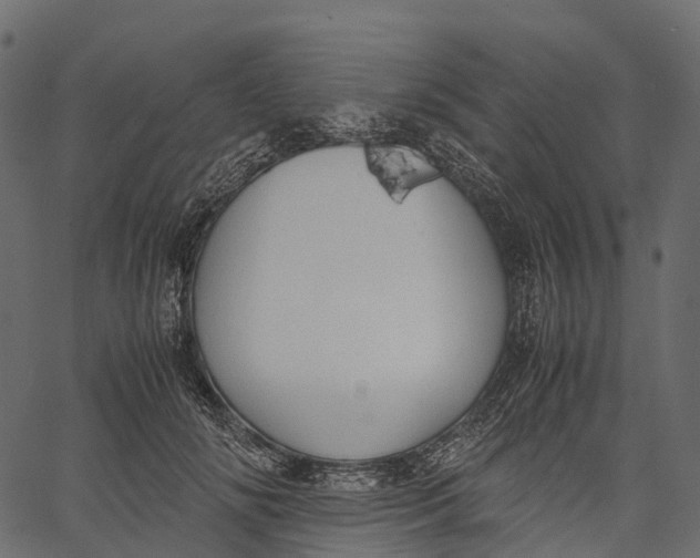 X0000062620702200601111034