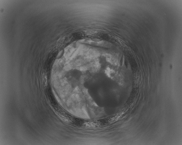 X0000062620703200601111034