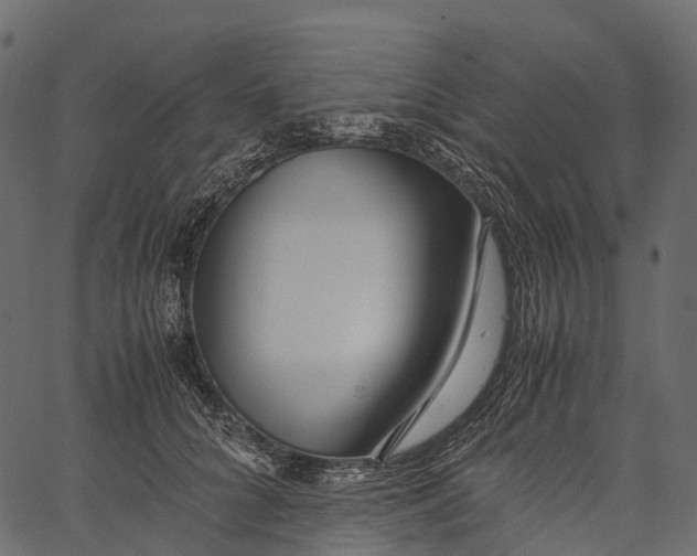 X0000062620704200601111034