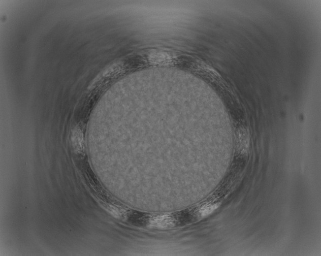 X0000062620705200601111034