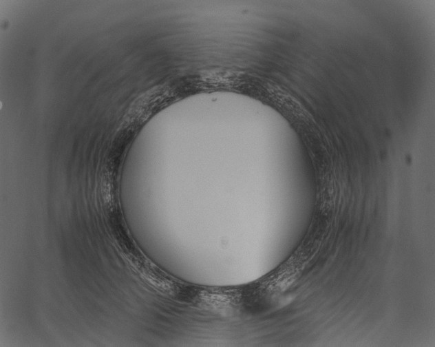 X0000062620706200601111034