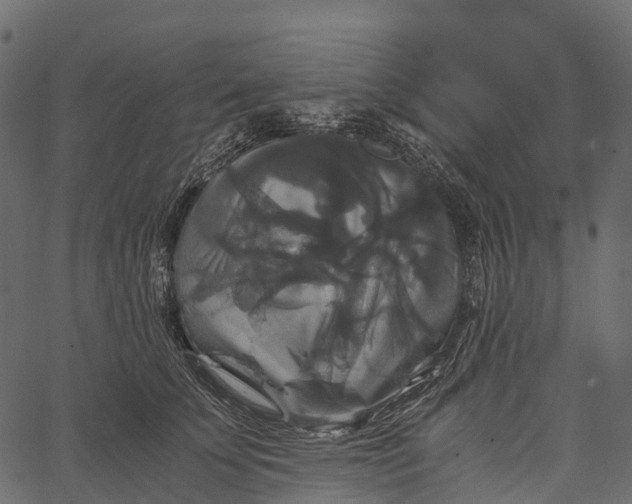 X0000062620707200601111034