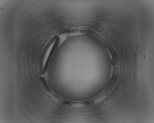 X0000062620708200601111034