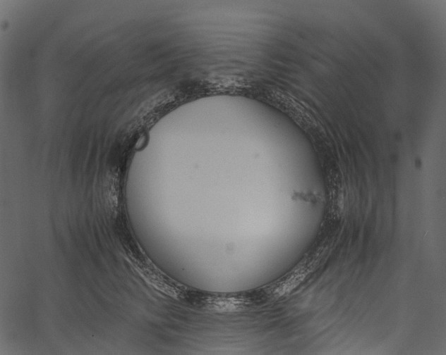 X0000062620710200601111034