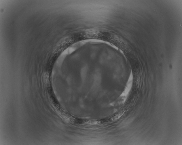 X0000062620711200601111034