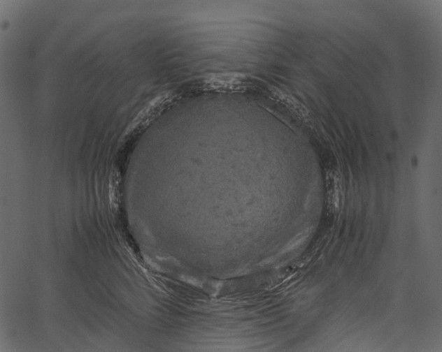 X0000062620712200601111034