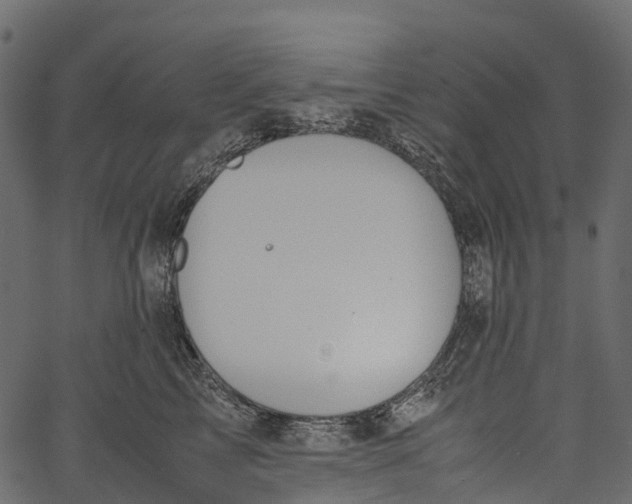 X0000062620713200601111034