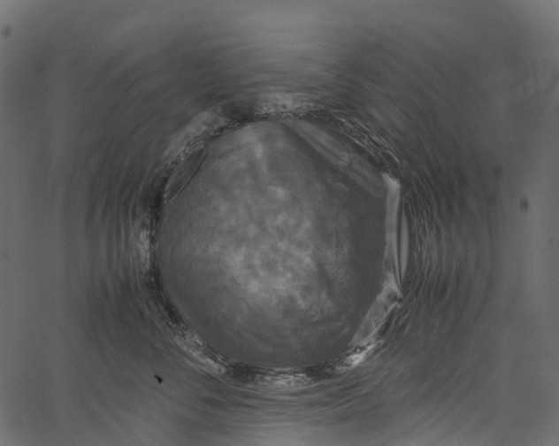 X0000062620716200601111034