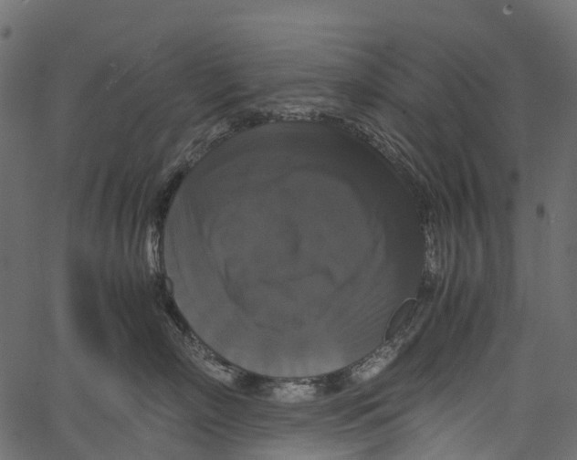 X0000062620718200601111034