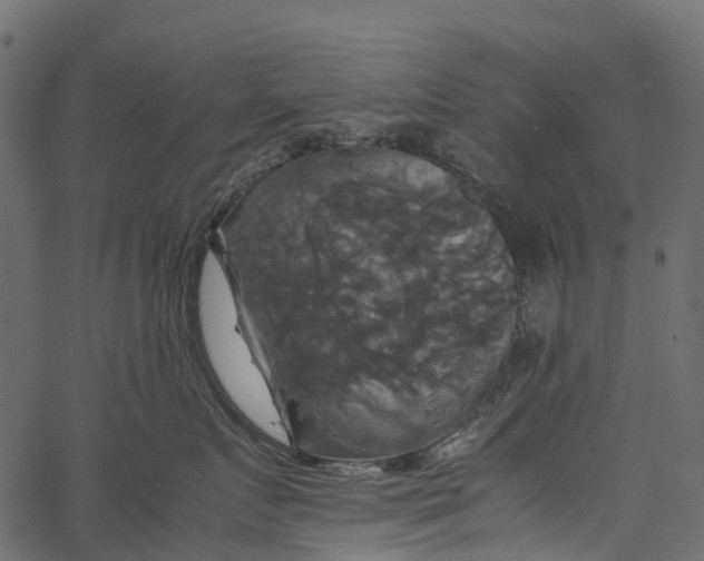 X0000062620719200601111034