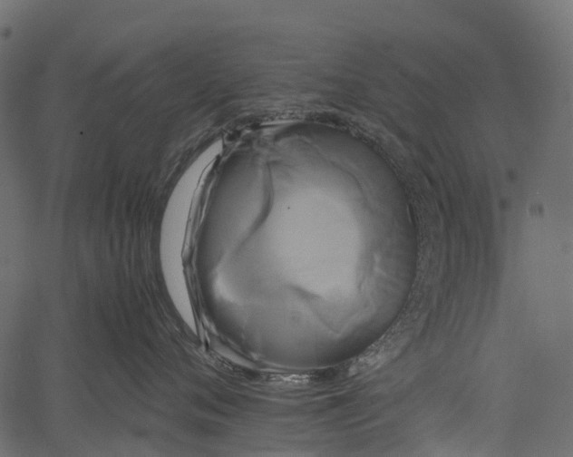 X0000062620720200601111034