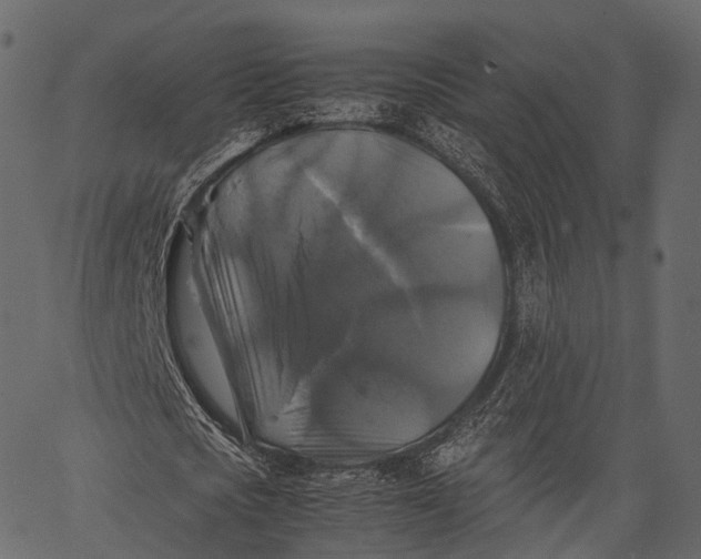 X0000062620721200601111033