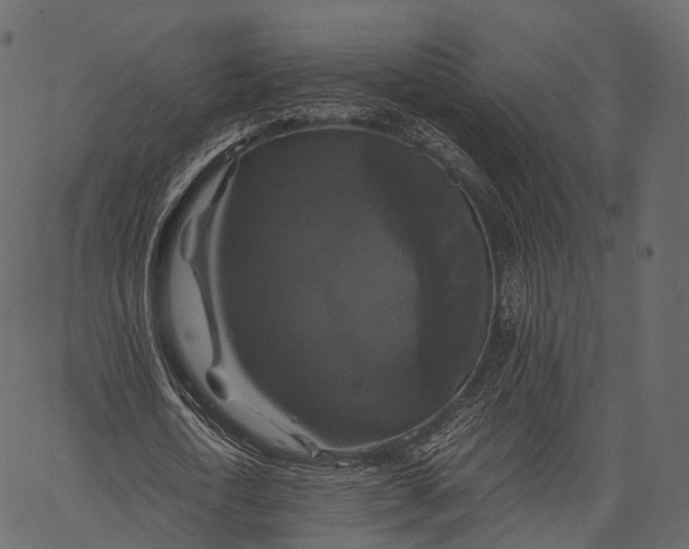 X0000062620722200601111033