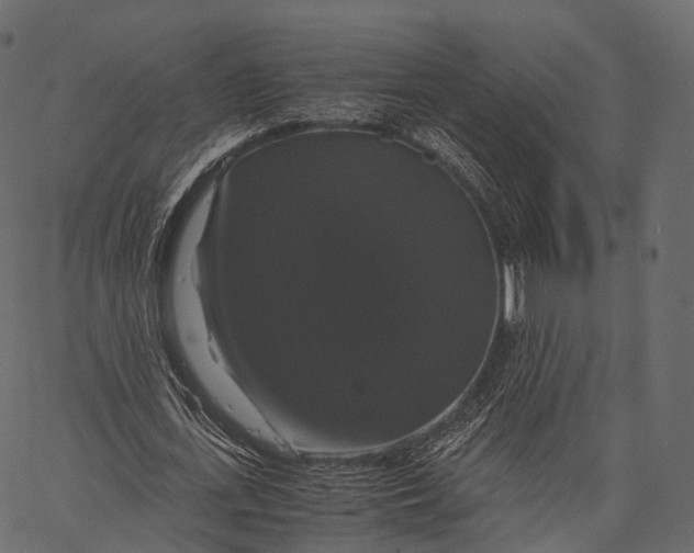 X0000062620723200601111033