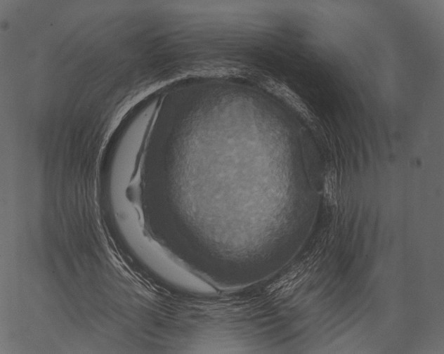 X0000062620724200601111033