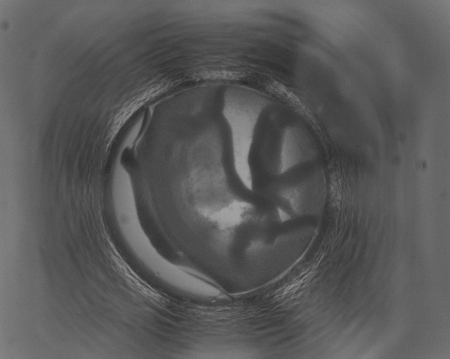 X0000062620725200601111033